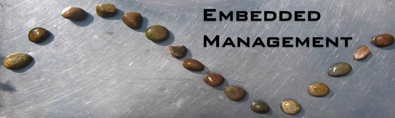 Embedded Management